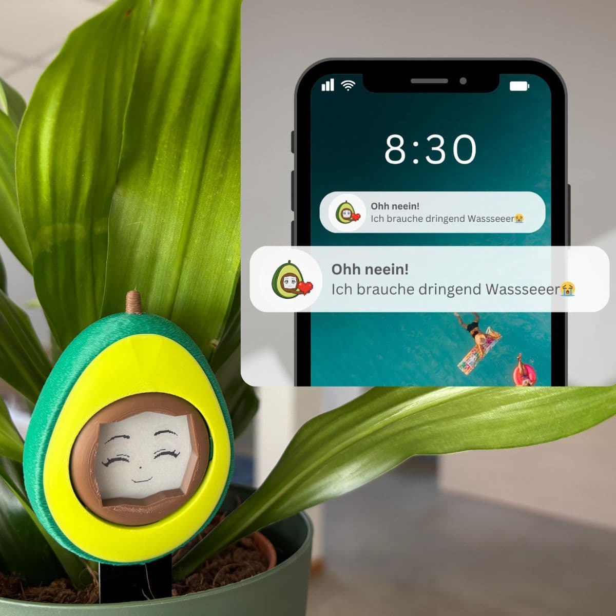 App & Push Notifications