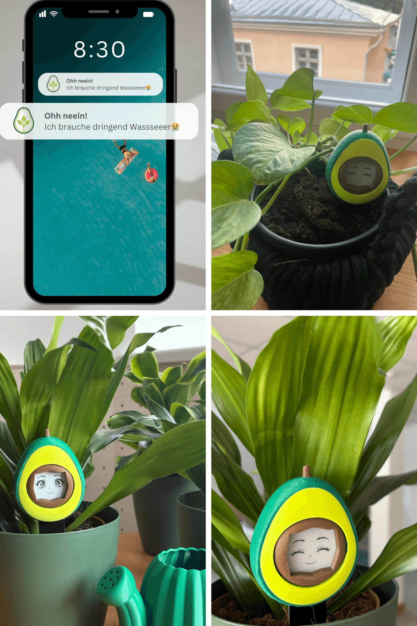 Schenk deiner Pflanze Leben – der süße Feuchtigkeitsmesser