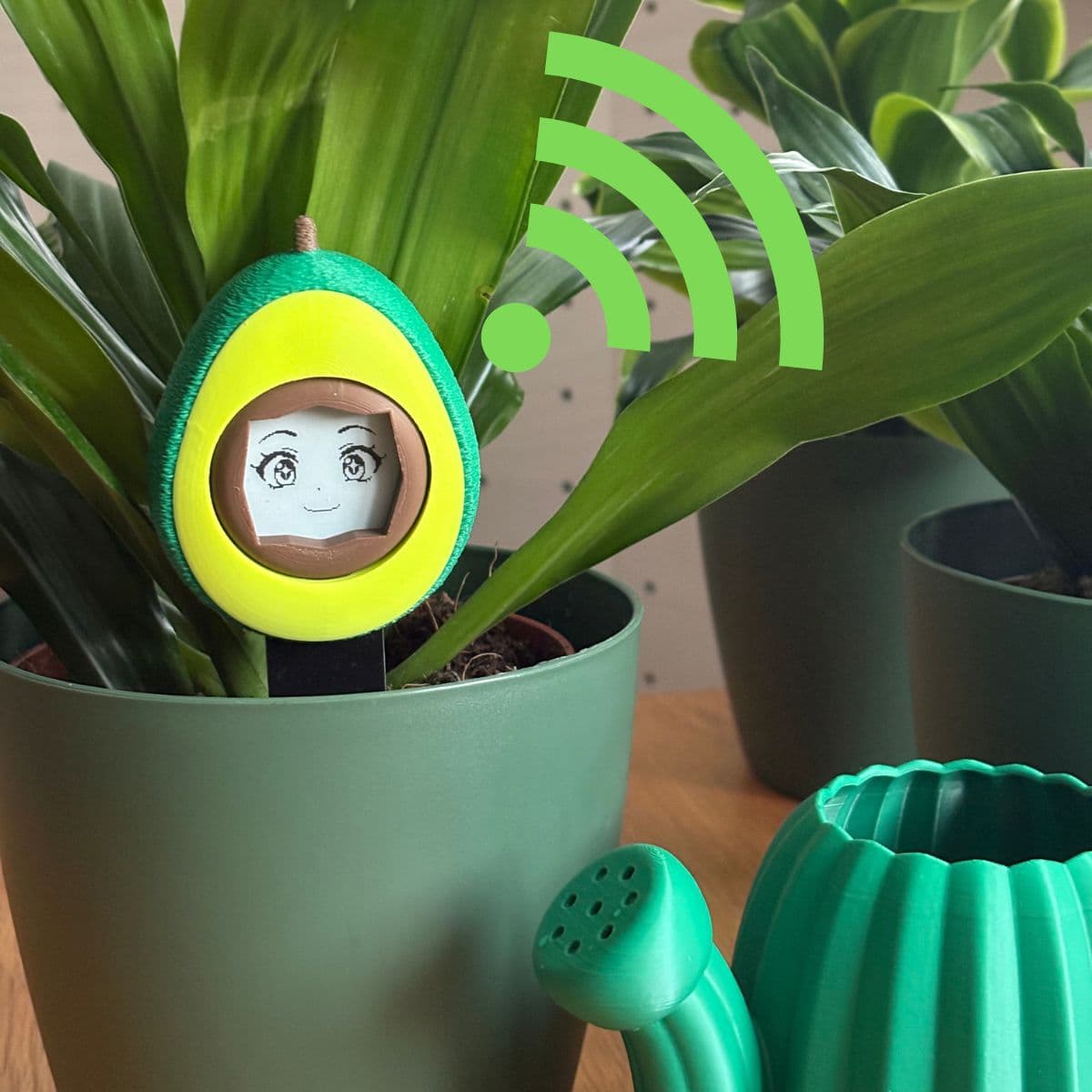 Smart Home & Setup in Minutes